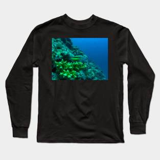 Coral reef and fish Long Sleeve T-Shirt